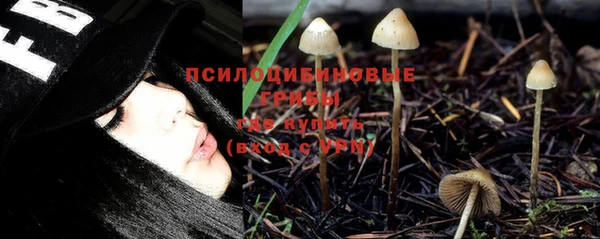 PSILOCYBIN Вязьма